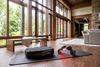 Personal Power Plate® + FlexBeam Red Light Bundle